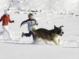 Winterurlaub mit Hund in Österreich