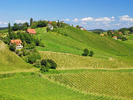 Landschaft in der Steiermark