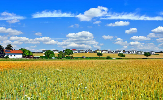 Urlaub mit Hund im Burgenland