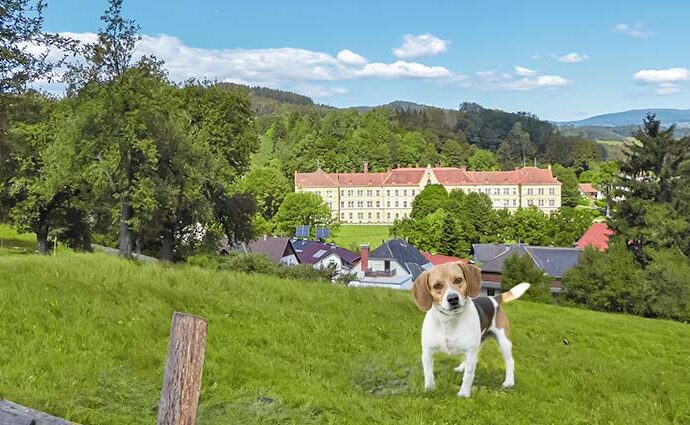 Urlaub mit Hund im Lavanttal