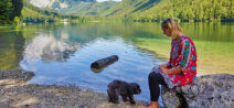 Urlaub mit Hund im Salzkammergut