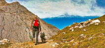 Urlaub mit Hund in Tirol
