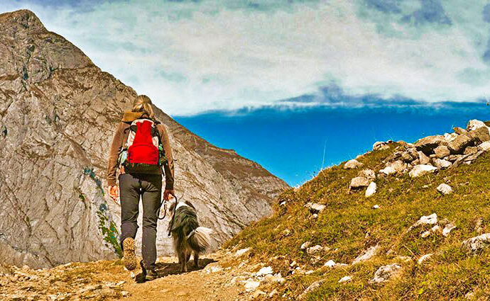 Urlaub mit Hund in Tirol