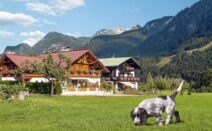 Ferienhäuser in Österreich mit Hund