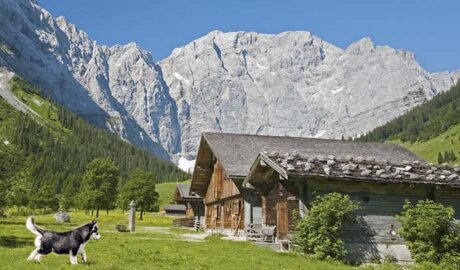 Ferienhäuser mit Sauna für Hundeurlaub in Österreich