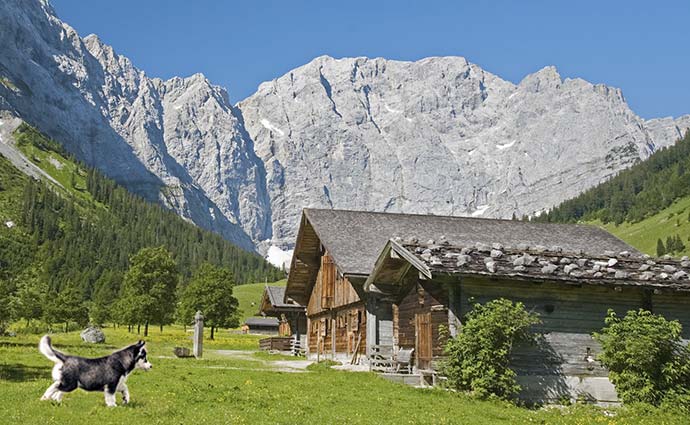 Ferienhäuser mit Sauna für Hundeurlaub in Österreich