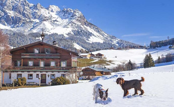 Ferienhäuser für Skiurlaub mit Hund in Österreich