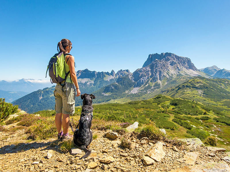 Wandern mit Hund in den Tiroler Alpen Wandern mit Hund in den Tiroler Alpen