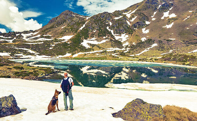 12 schöne Ziele für Urlaub mit Hund in den Bergen