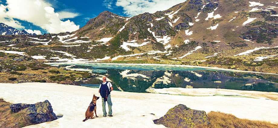 12 schöne Ziele für Urlaub mit Hund in den Bergen