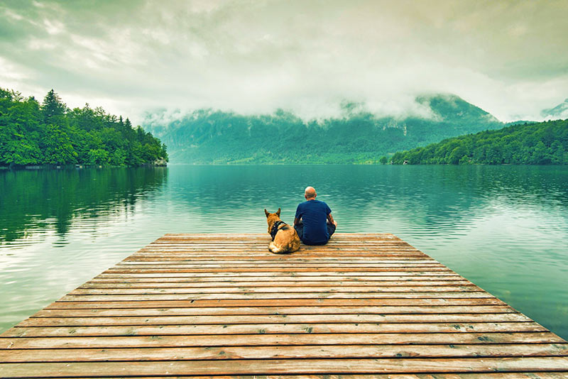 12 schöne Ziele für Urlaub mit Hund in den Bergen - Bohinjer See 12 schöne Ziele für Urlaub mit Hund in den Bergen - Bohinjer See