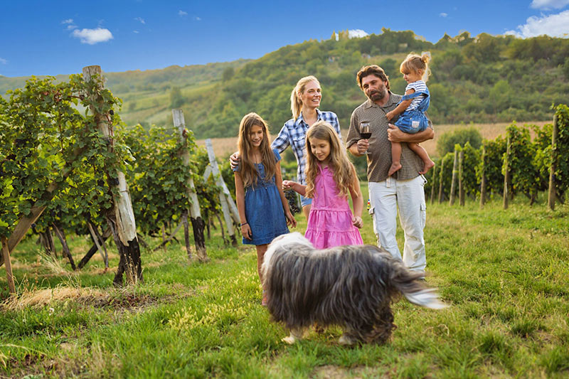 13 Ideen für Urlaub mit Hund auf dem Weingut 13 Ideen für Urlaub mit Hund auf dem Weingut